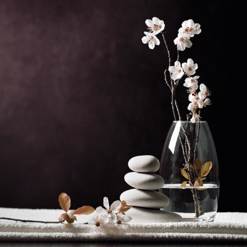 Tranquil spa setting with balance rocks and greenery at La Posada Milford hotel