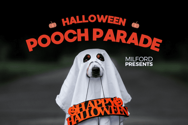 Image of dog in ghost costume